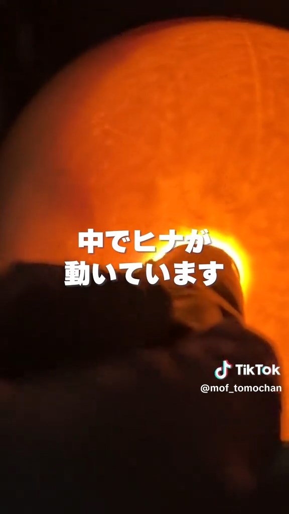 こちらにはほのかに影が。ヒナが育っているみたい