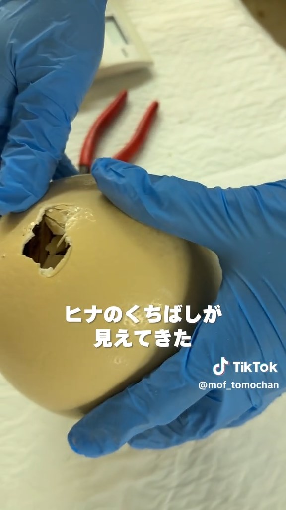 ヒナのクチバシが見え隠れ