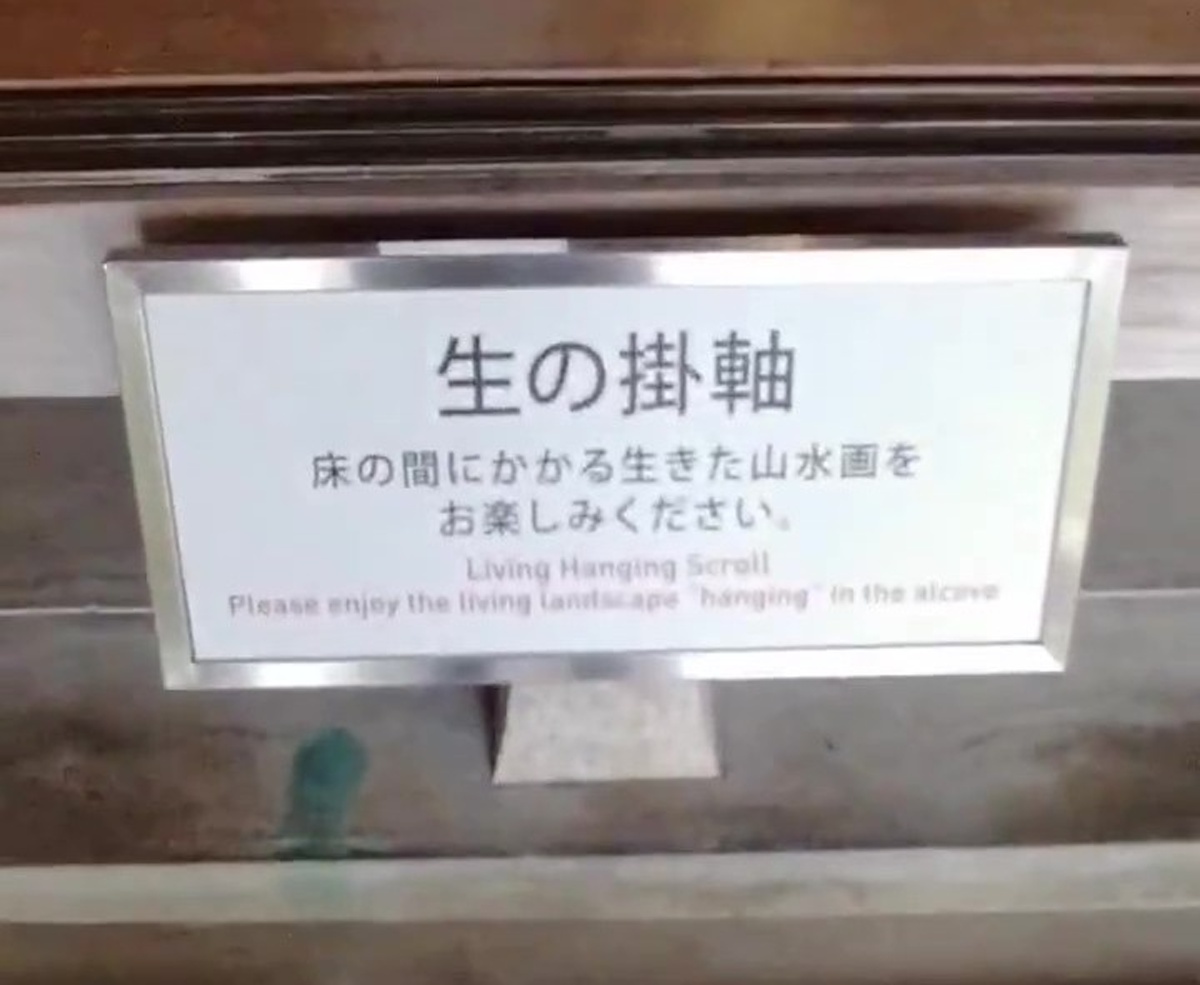 美術館にある“生の”見どころを鑑賞したら→「しばらく動けなかった」　圧巻の光景に「発想がすてきすぎます」「行きてえーー！」（1/3） | カルチャー・アート ねとらぼ