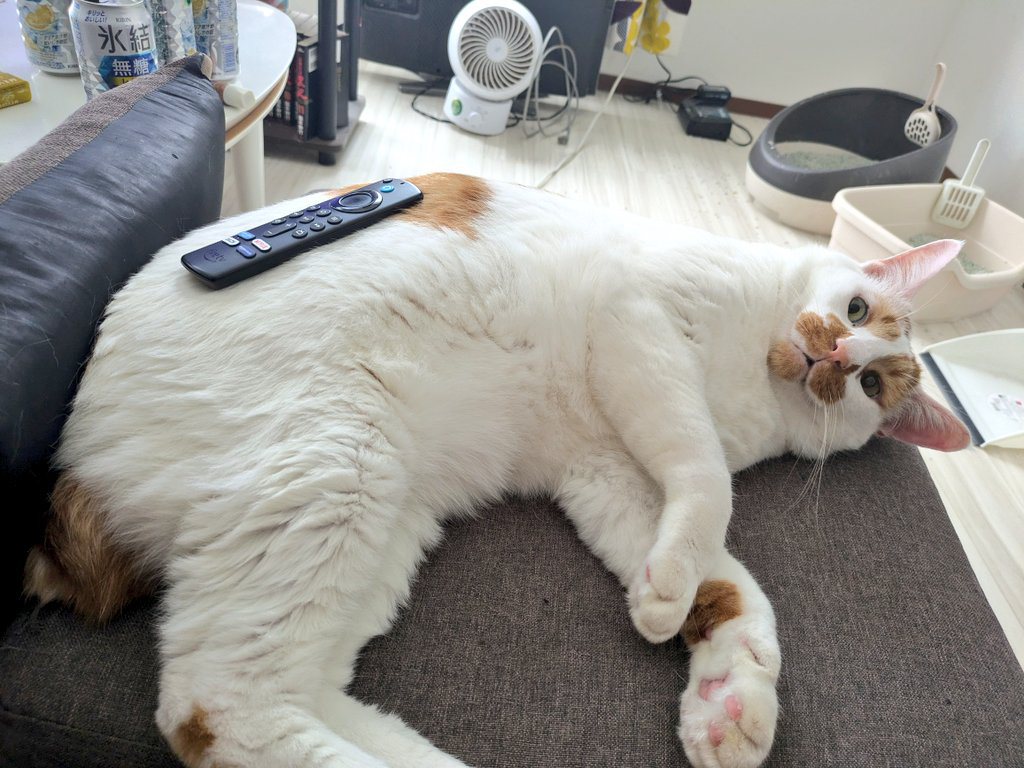 落ち着いて確認してる！