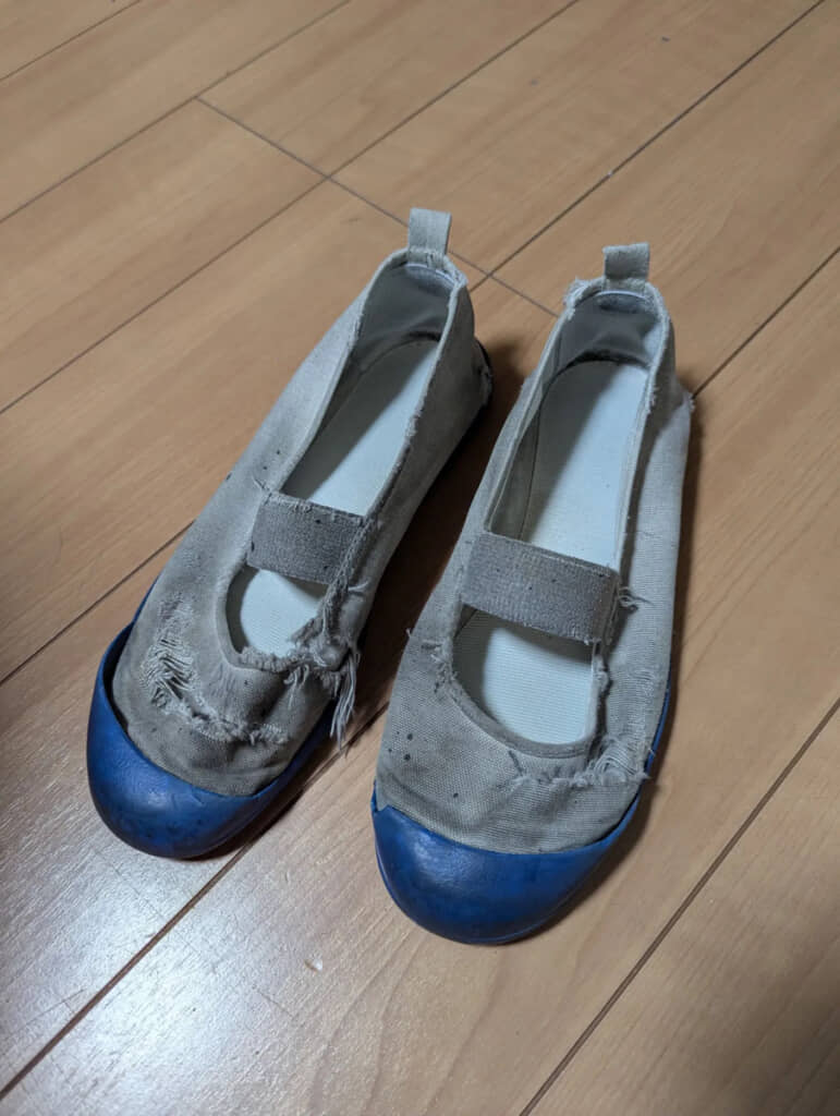 汚れはともかく破れ具合がすごい。そして、中敷きだけきれいなのが不思議