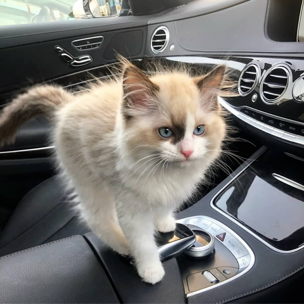 生後3カ月のプリンスくん