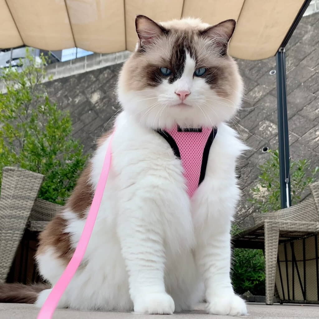 7歳になりました◎