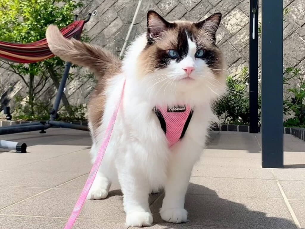 ぽかぽか陽気が気持ちいい