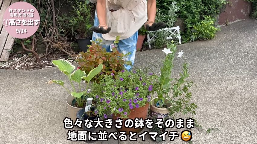 さまざまな大きさの植木鉢を単に並べた状態