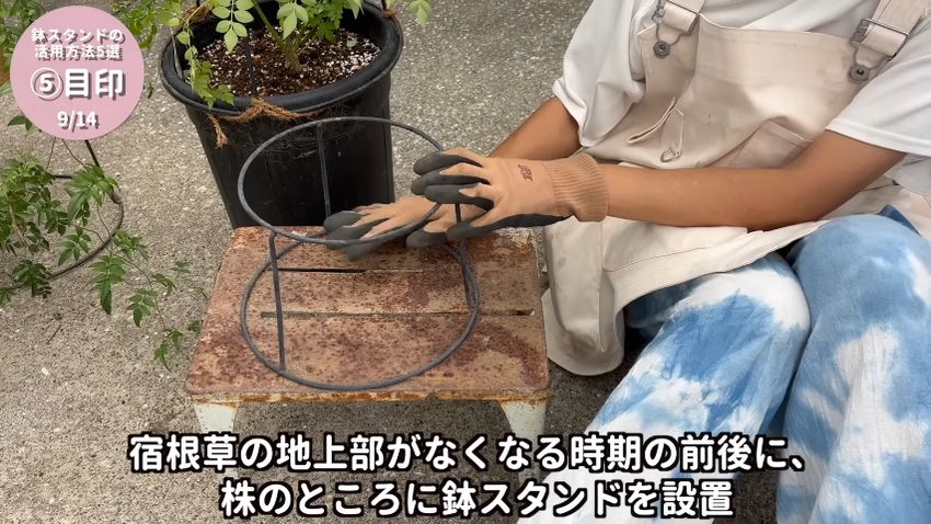 低い鉢スタンドを目印として配置