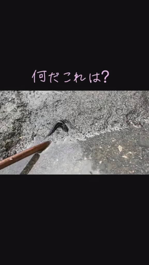 砂浜で見つけたのは黒い筒状のアイテム