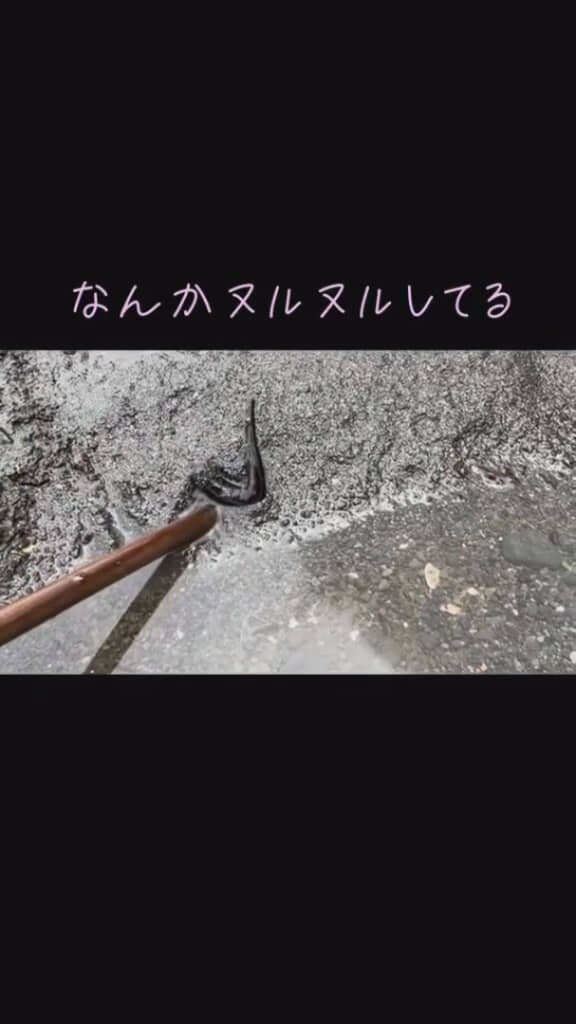 木の棒を使って掘り起こす