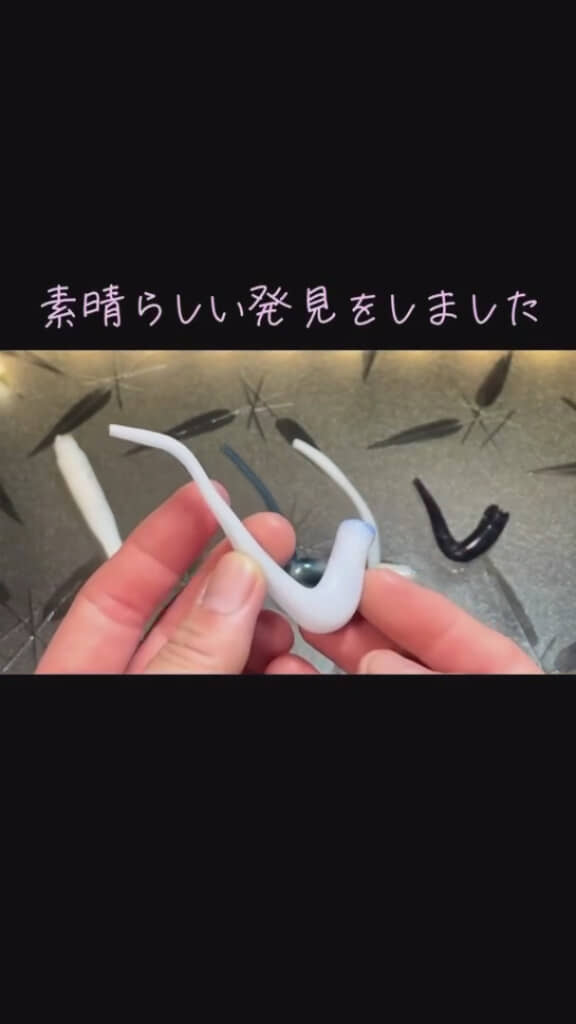 海にはたくさんの発見がある