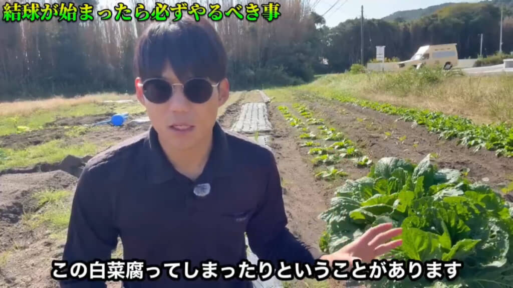 水のあげすぎには注意