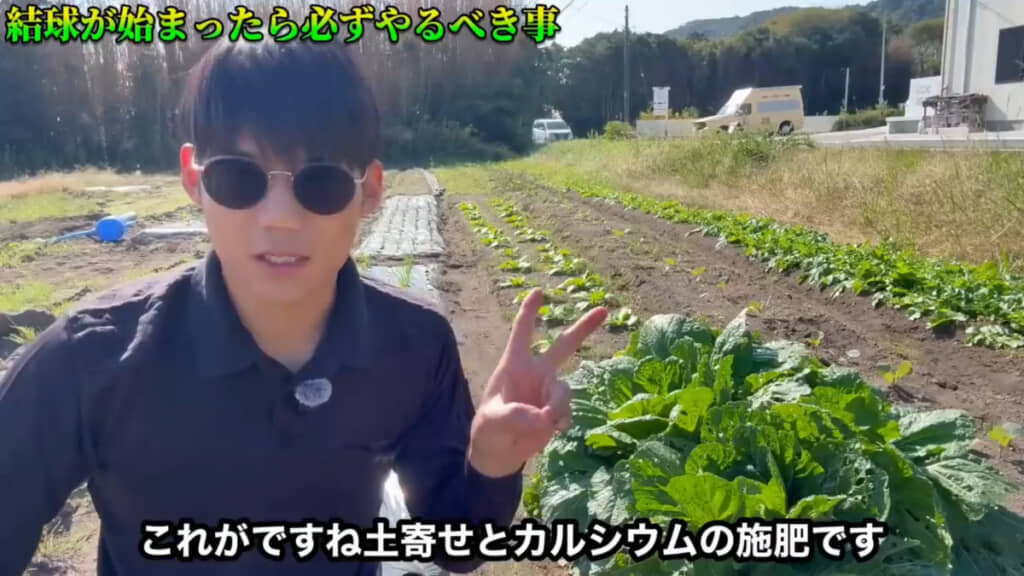 液体のカルシウム資材をおすすめ