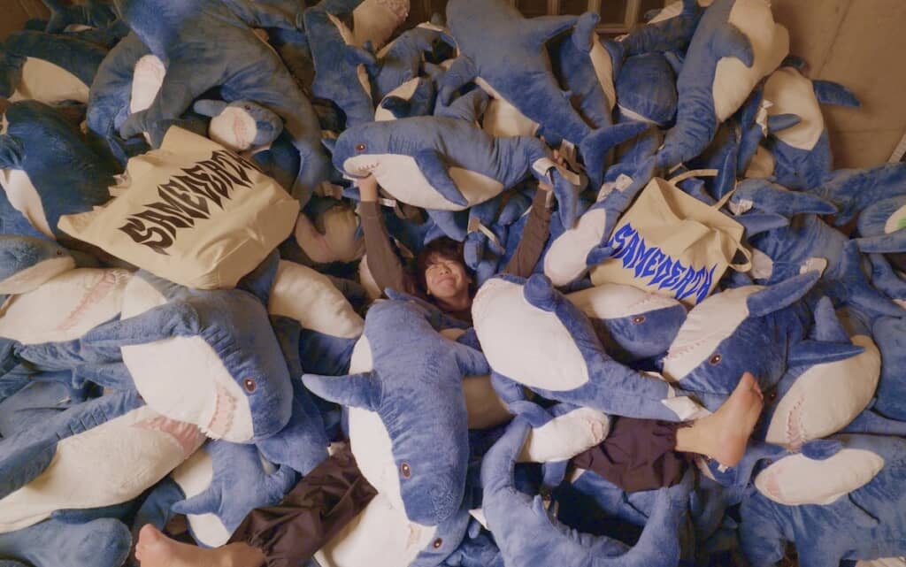 投稿者の体と比較してもかなりの数があることが分かります