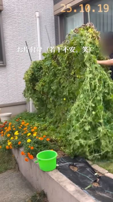 10月に片付けする様子