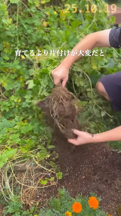 片付けの方が大変でした