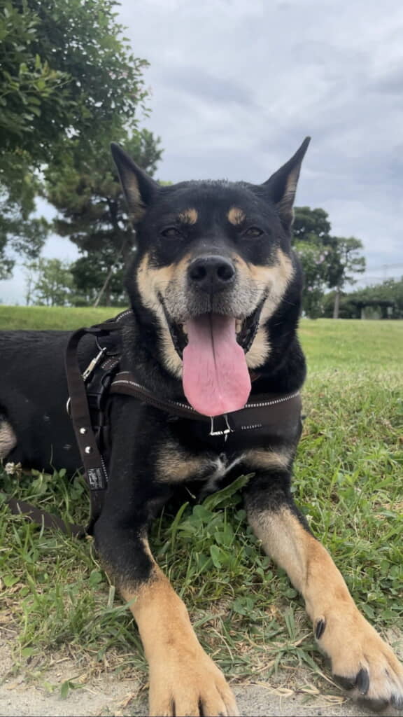 なんて幸せそうな表情