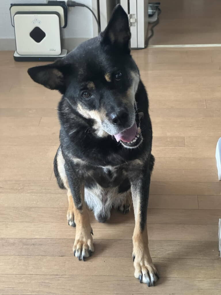 幸せな日々を送っていることが伝わる姿