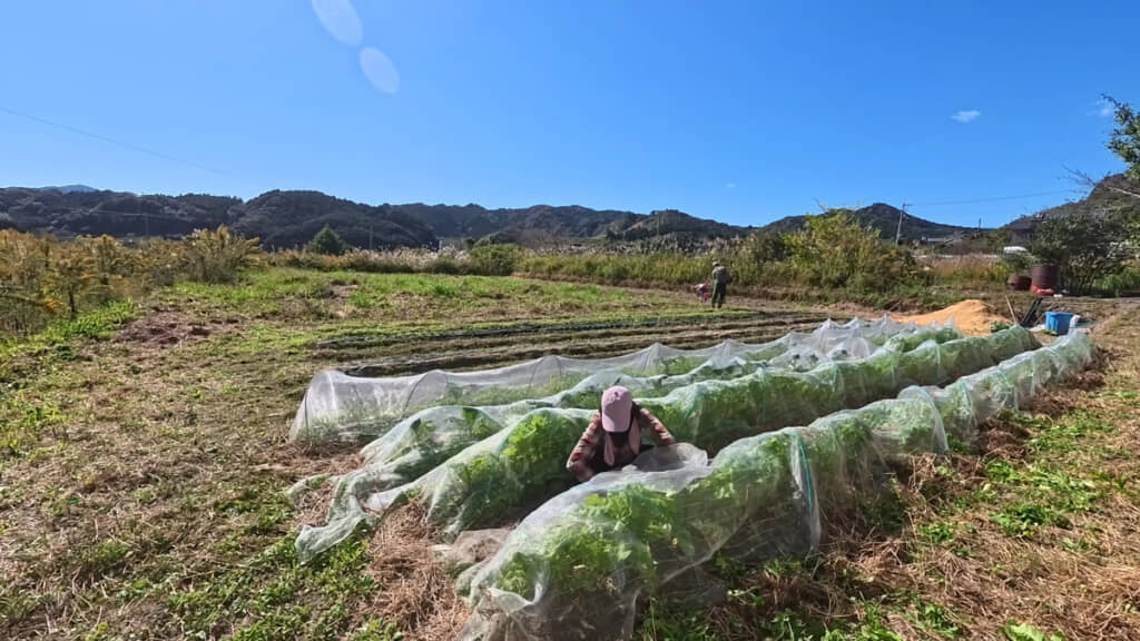 まずは畑仕事から