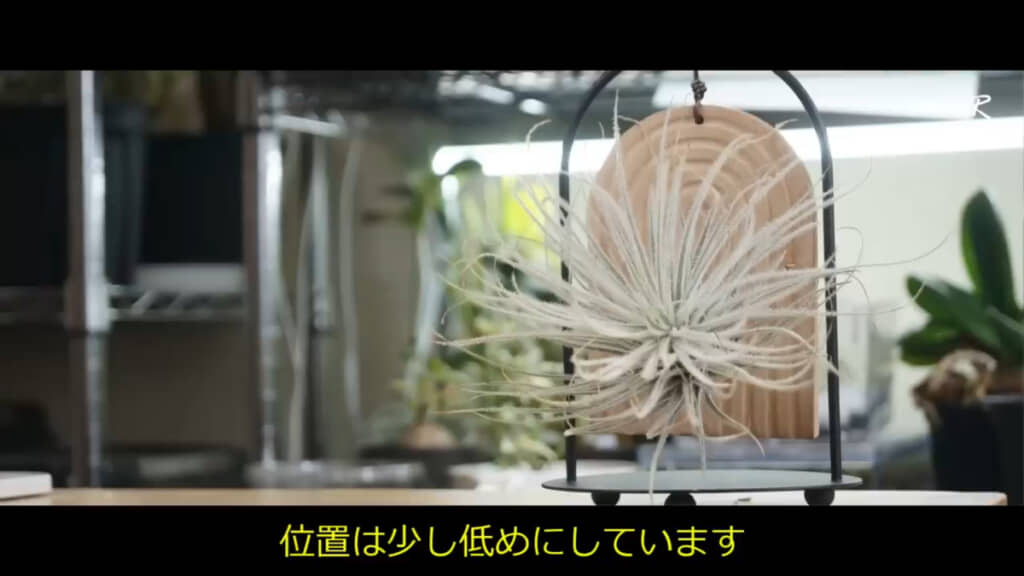 完成した作品を設置した様子