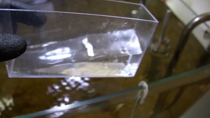 体長を測るために用意したケース