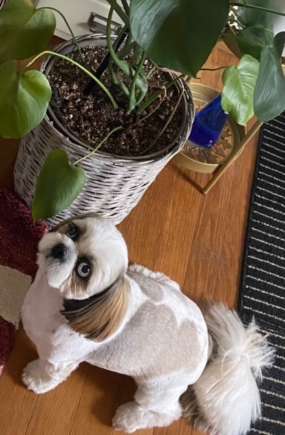 おめめまんまる！
