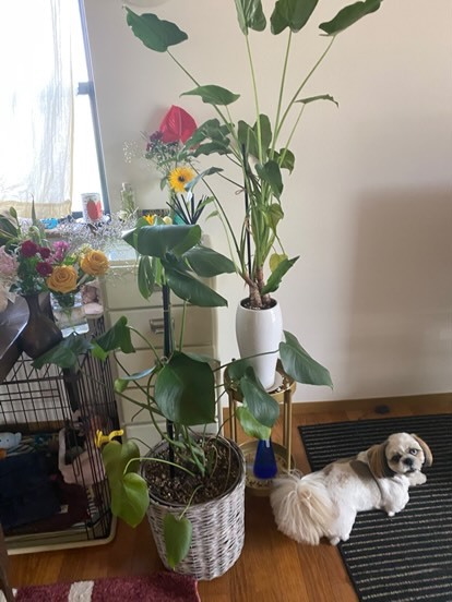 おうちでまったり
