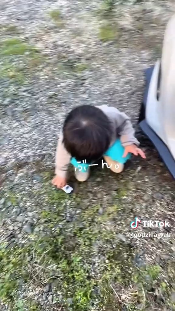 なんとなく事態は察したようで、地面で遊び始めました