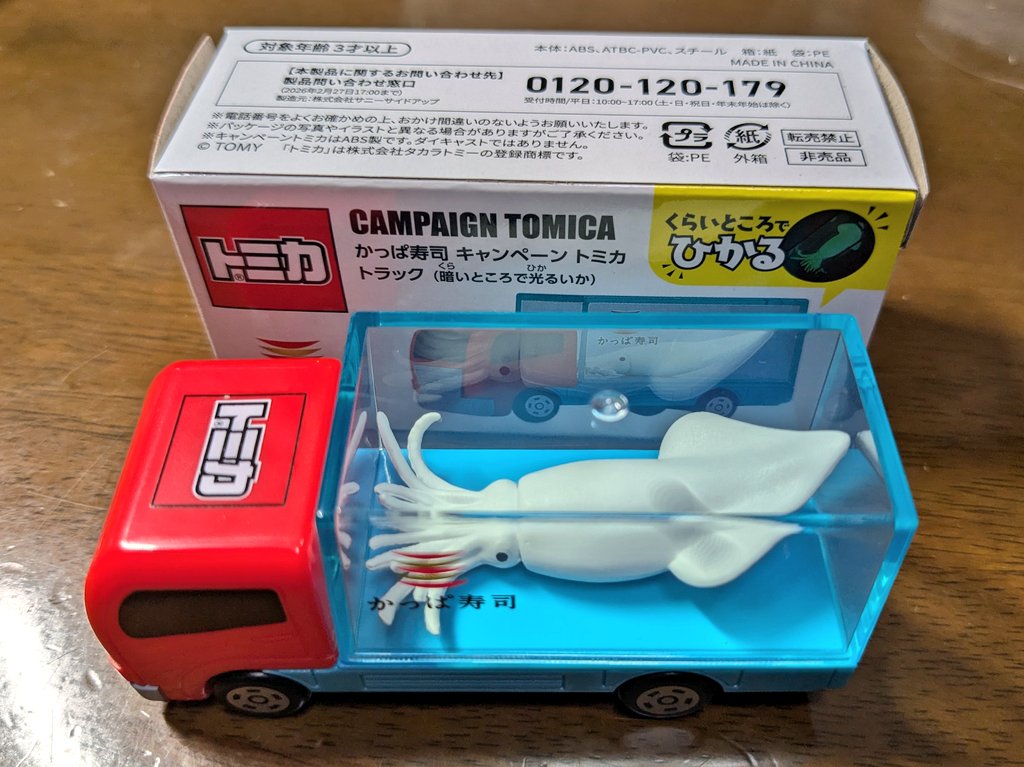 シースルーのコンテナに巨大なイカが鎮座するインパクト