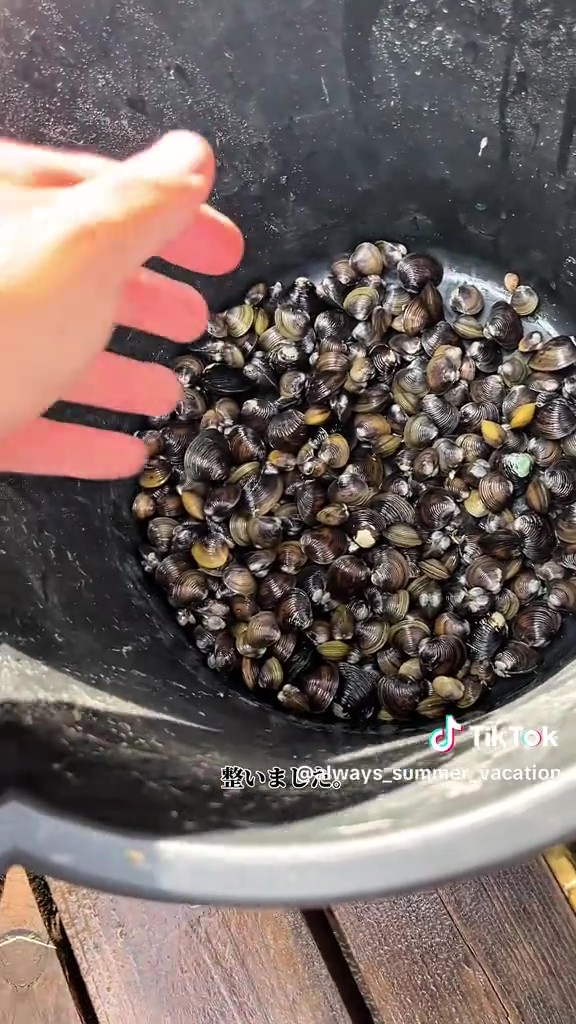 308個のシジミをゲット！