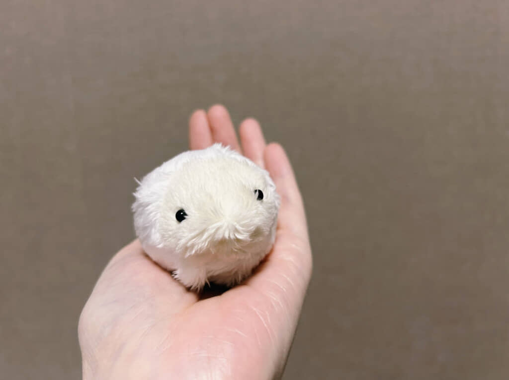 投稿主さんを心配するようなやさしい眼差し