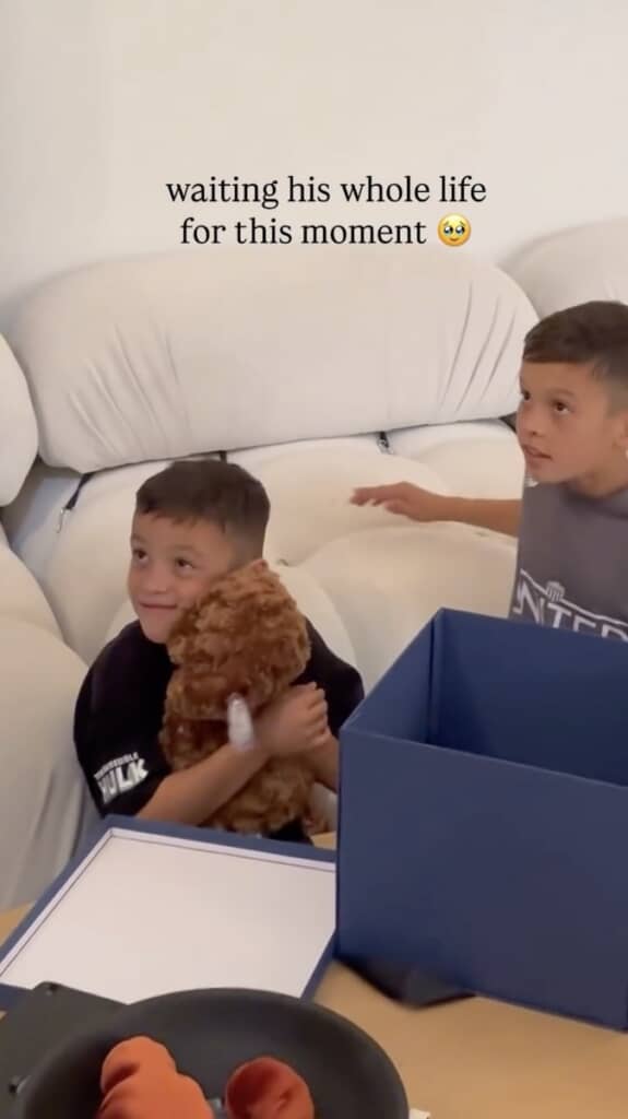 大好きなワンコのぬいぐるみをうれしそうに抱きしめる男の子