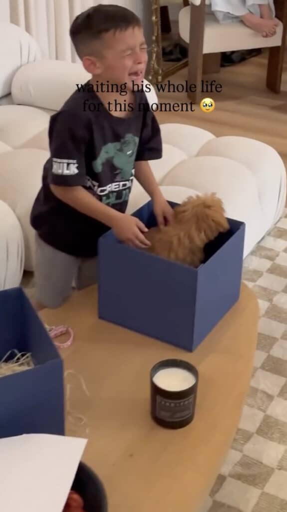 2つ目の箱には、ぬいぐるみそっくりの“本物のワンコ”が……！