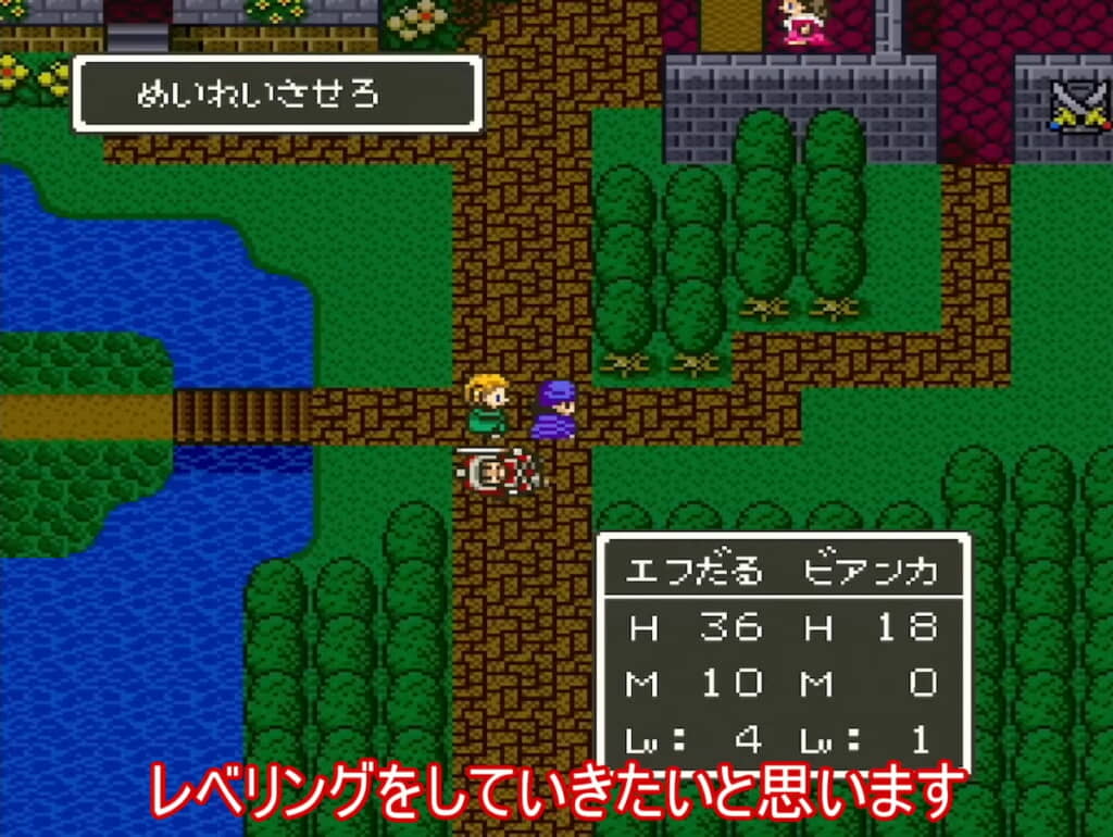 ビアンカとのレベル上げを開始