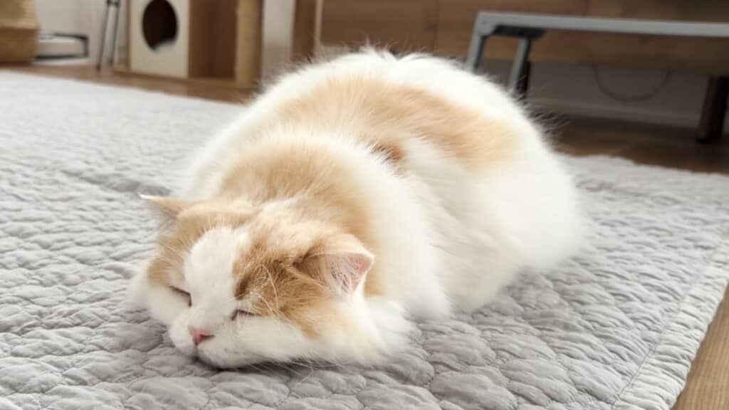 おててないない