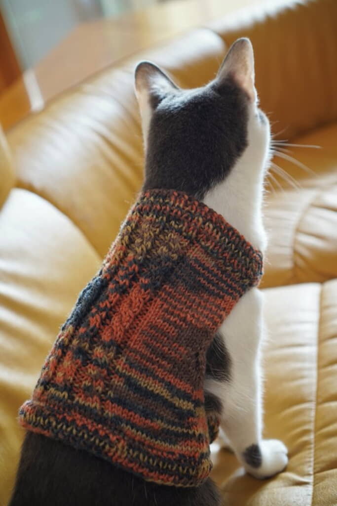 背中もおしゃれです