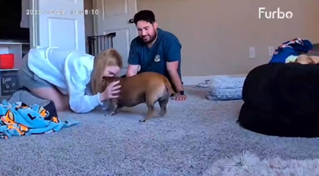 愛犬と１１日ぶりに再会