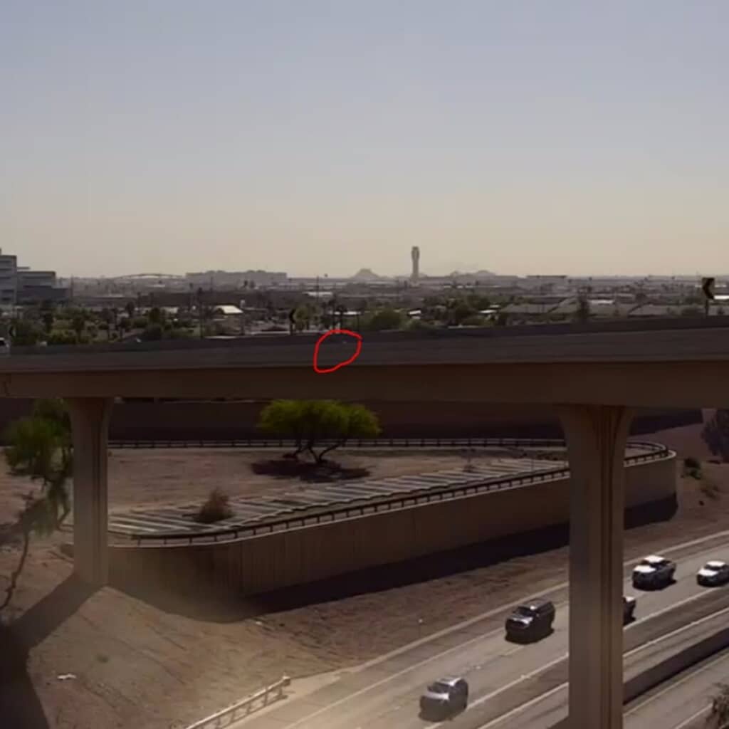 高速道路にいた子猫の救出劇