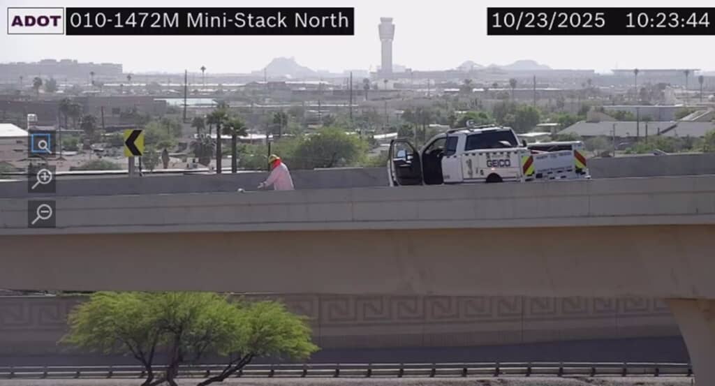 高速道路にいた子猫の救出劇