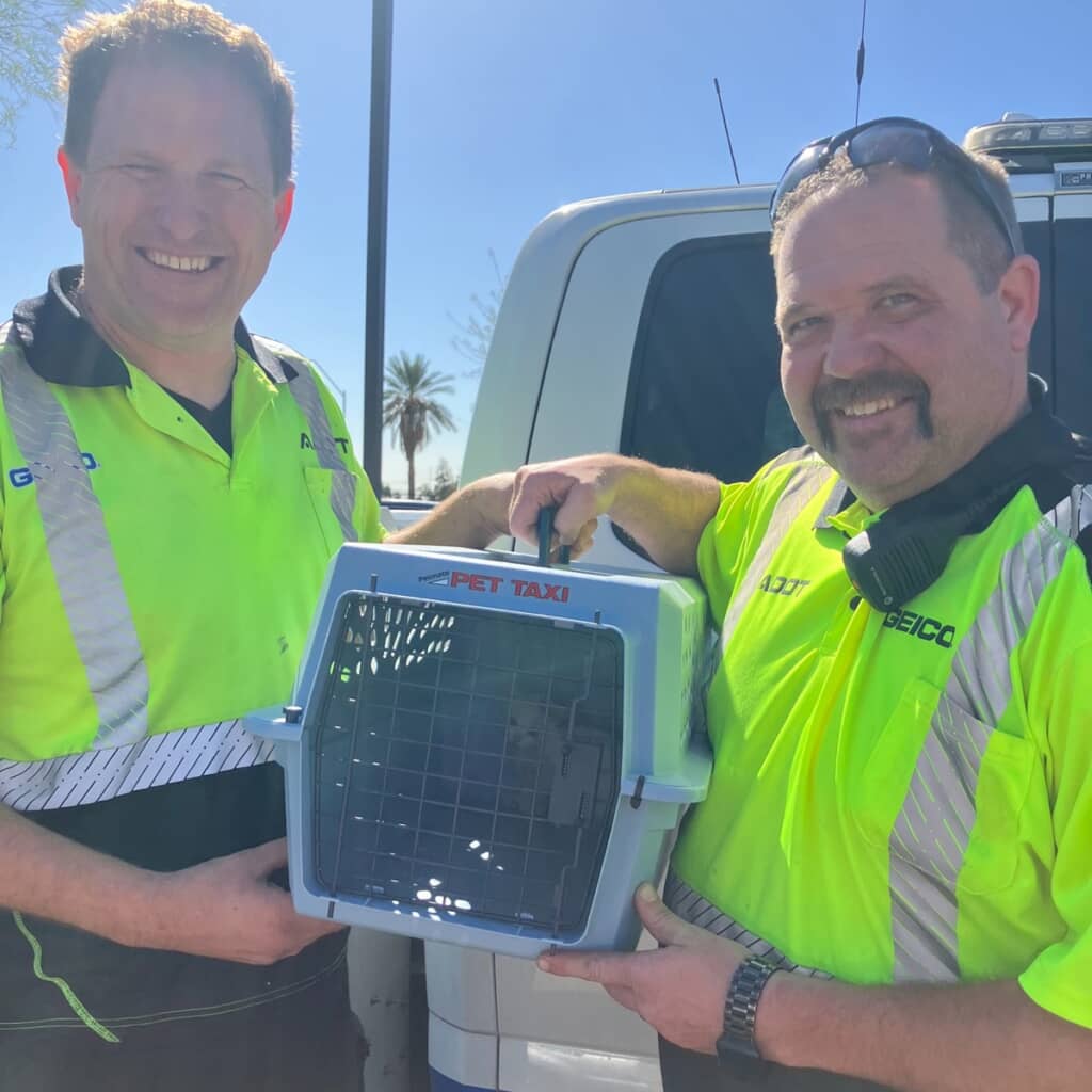 高速道路にいた子猫の救出劇