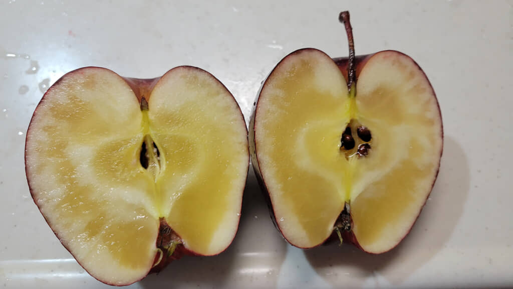 こんなに蜜が入ることあるの……!?