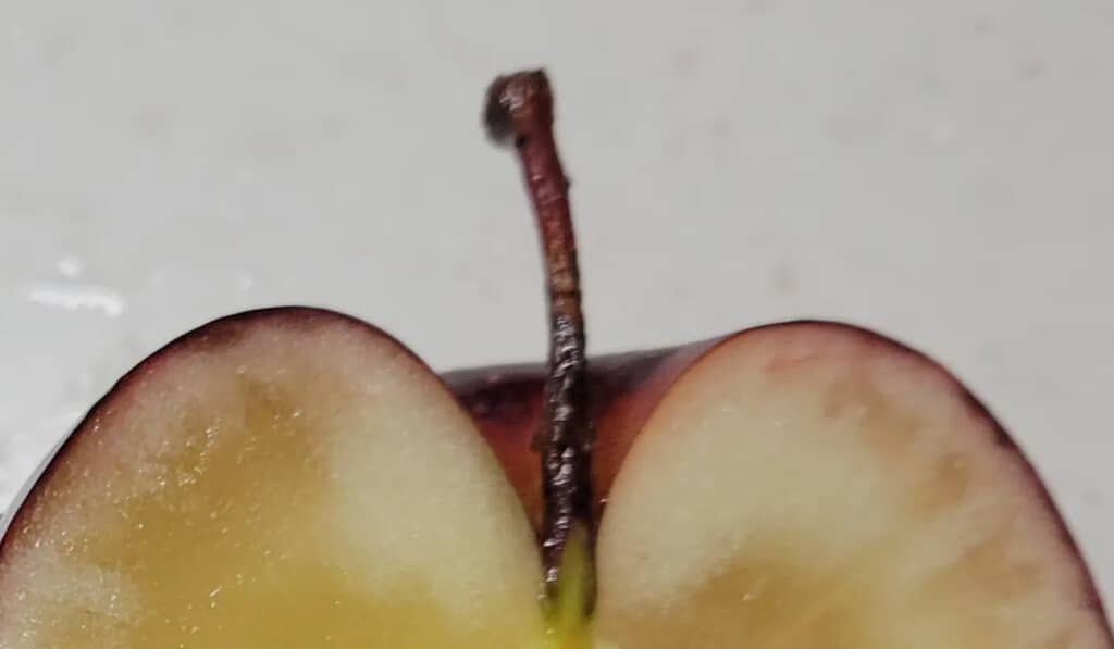 収穫期を逃したりんごを見つけ……