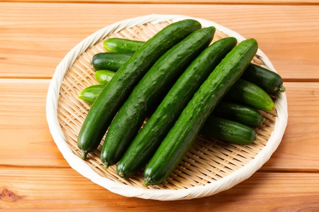 普通のきゅうり（イメージ画像／出典：PIXTA）