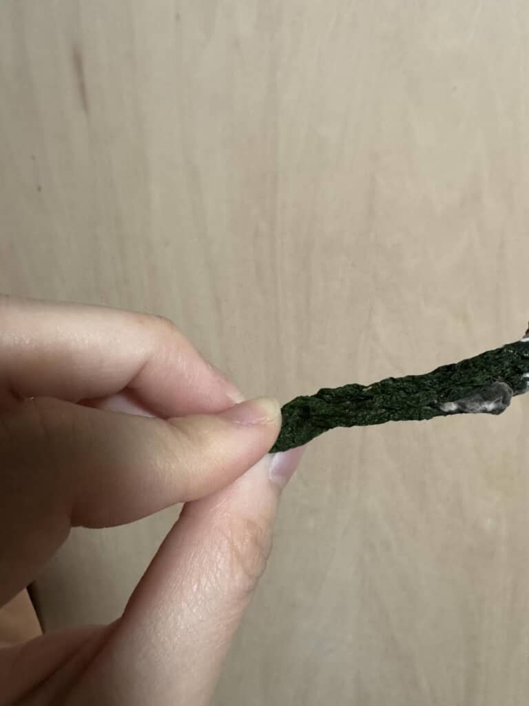 きゅうりに見えないけどきゅうりです（画像提供：原田家の日常さん／@monpapa_family）