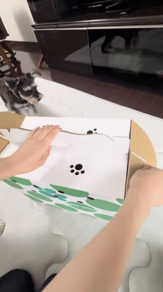 開けてみると……