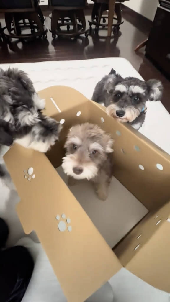 顔を近づけて「初めまして」のごあいさつ