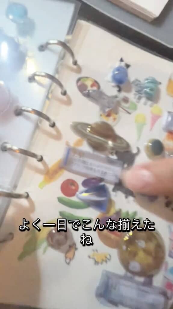 コレクションの数にあらためて驚く妻