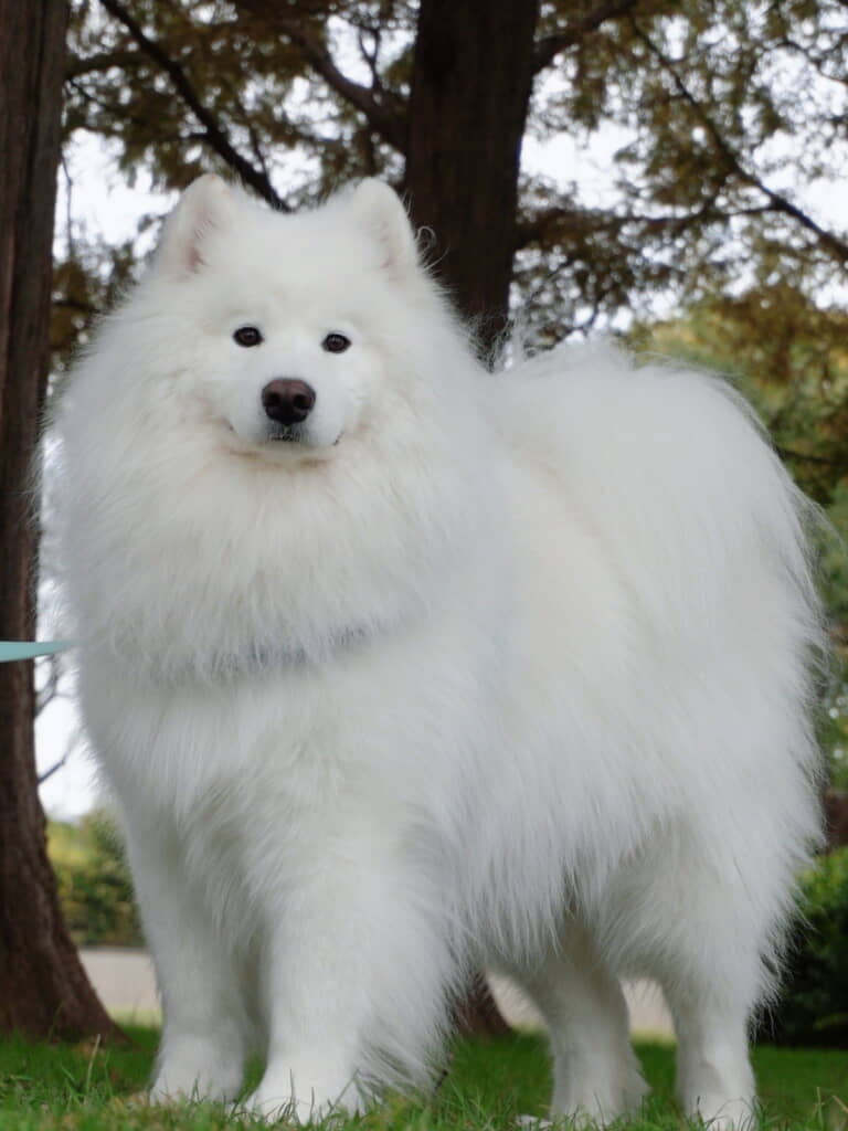 拍手したくなるのも納得のビジュ