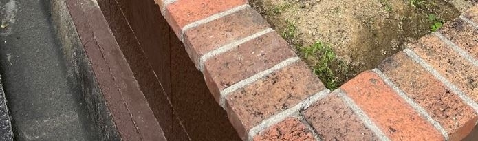 もともとサツキがあった場所に……？