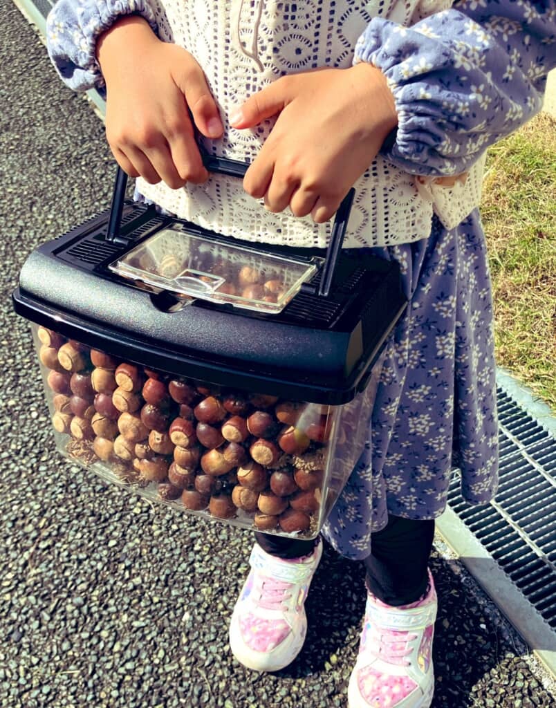 虫かごいっぱい……!!