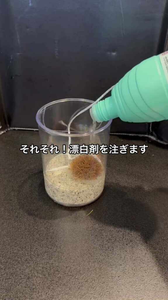 容器に入れて漂白する