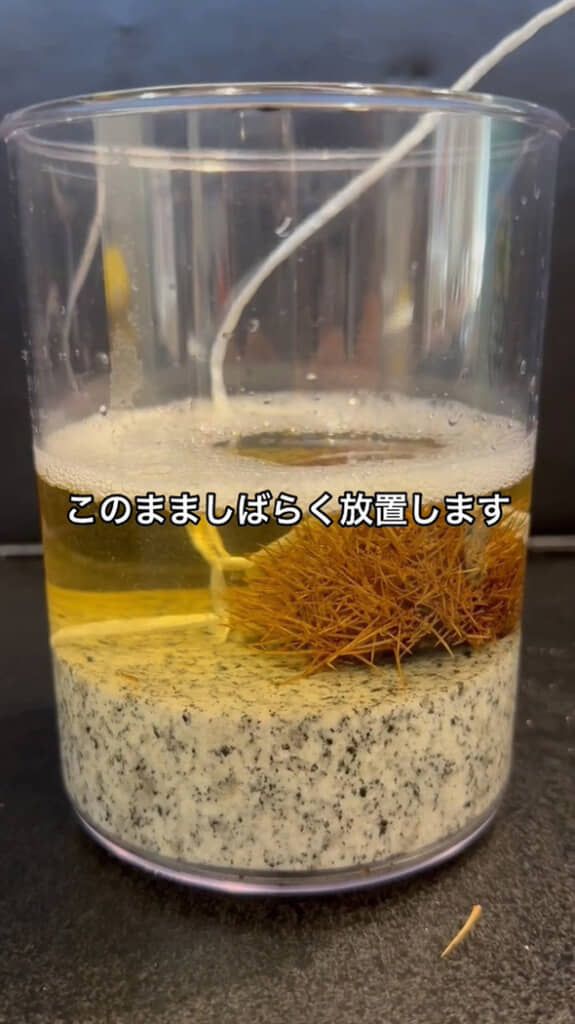 そのまま放置する